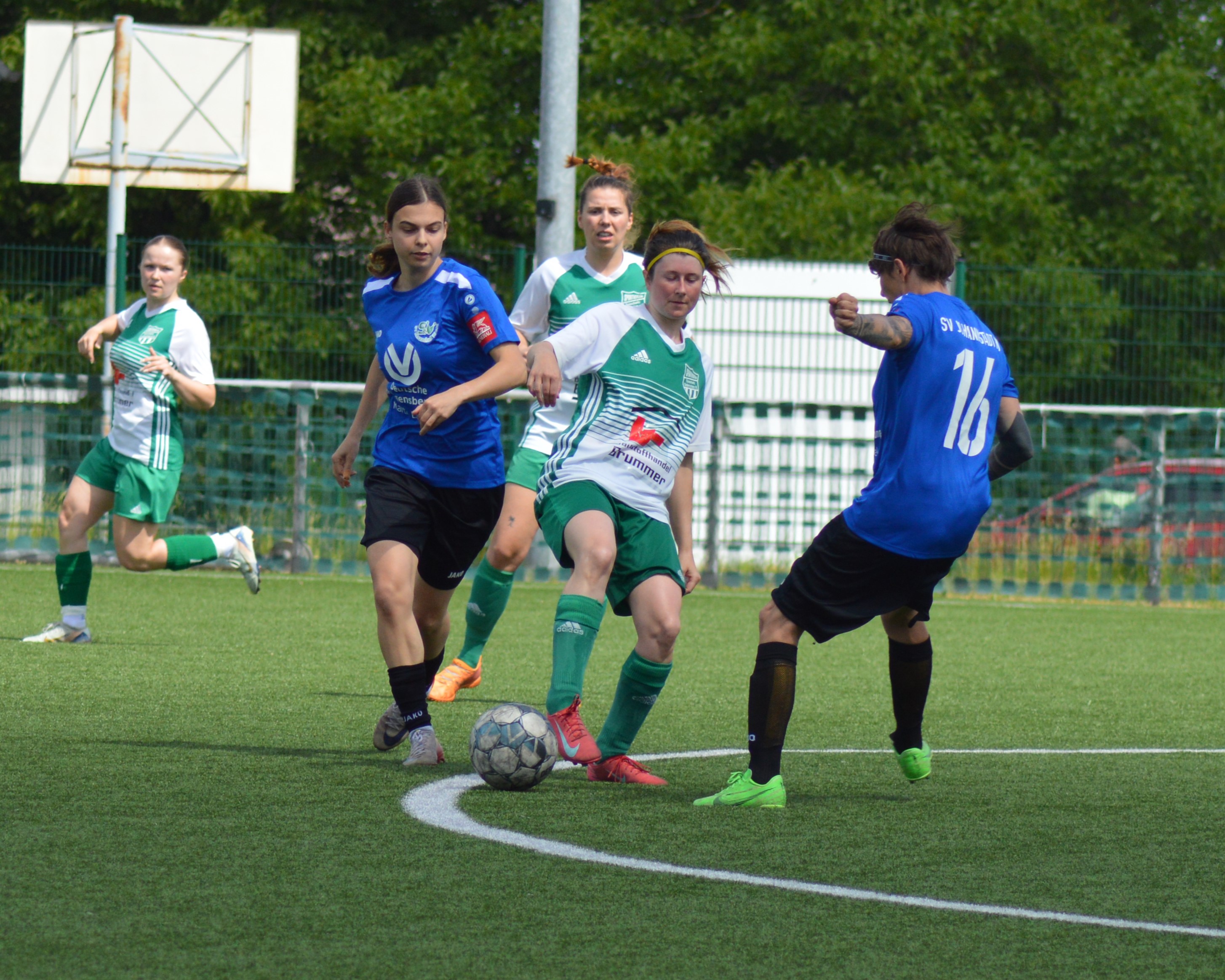 2026 05 31 Johannstadt 16