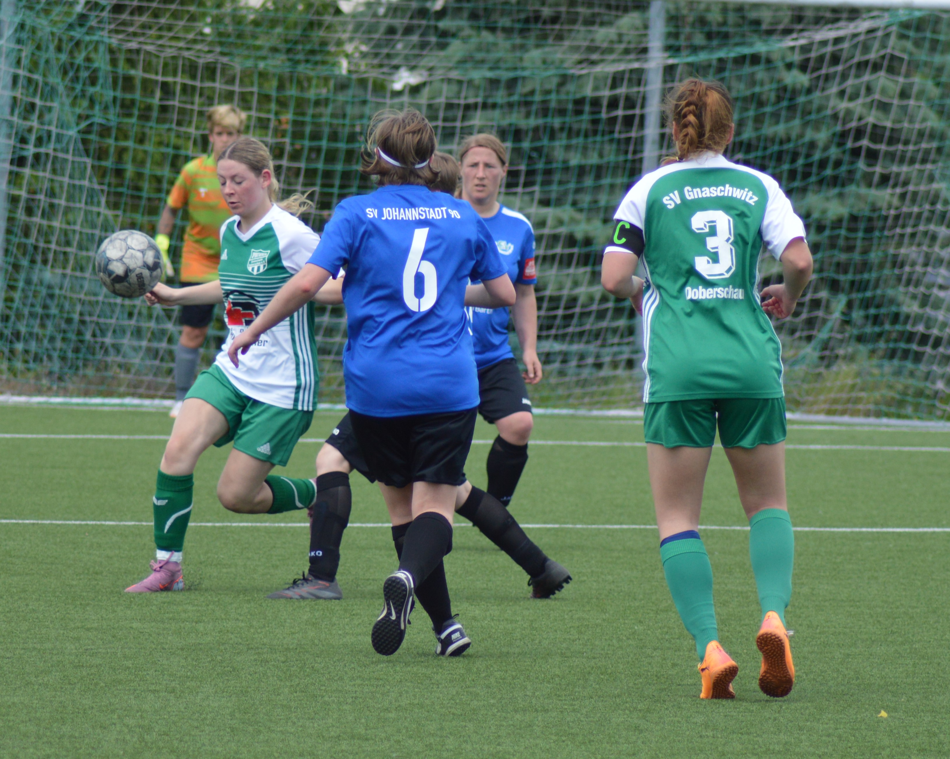 2026 05 31 Johannstadt 34